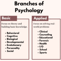 Branches of psychology