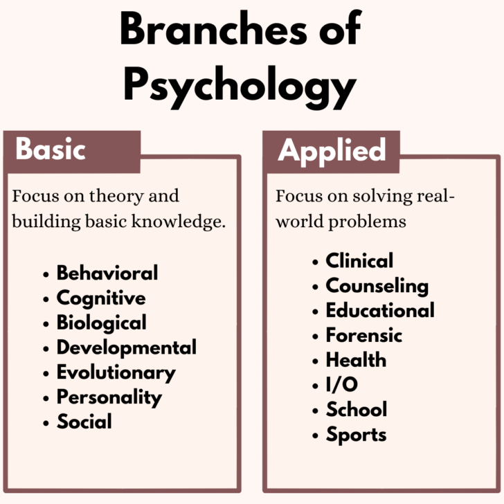 28 Main Branches of Psychology