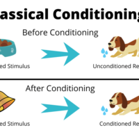 Examples of Classical conditioning
