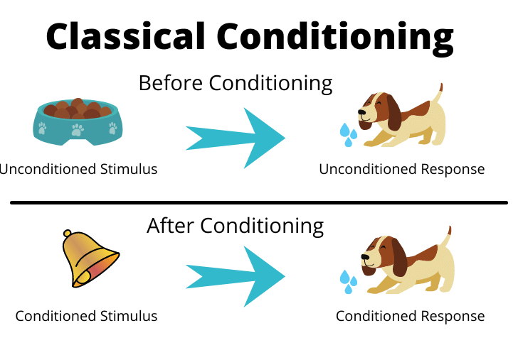 Classical Conditioning: How It Works and Why It’s Used