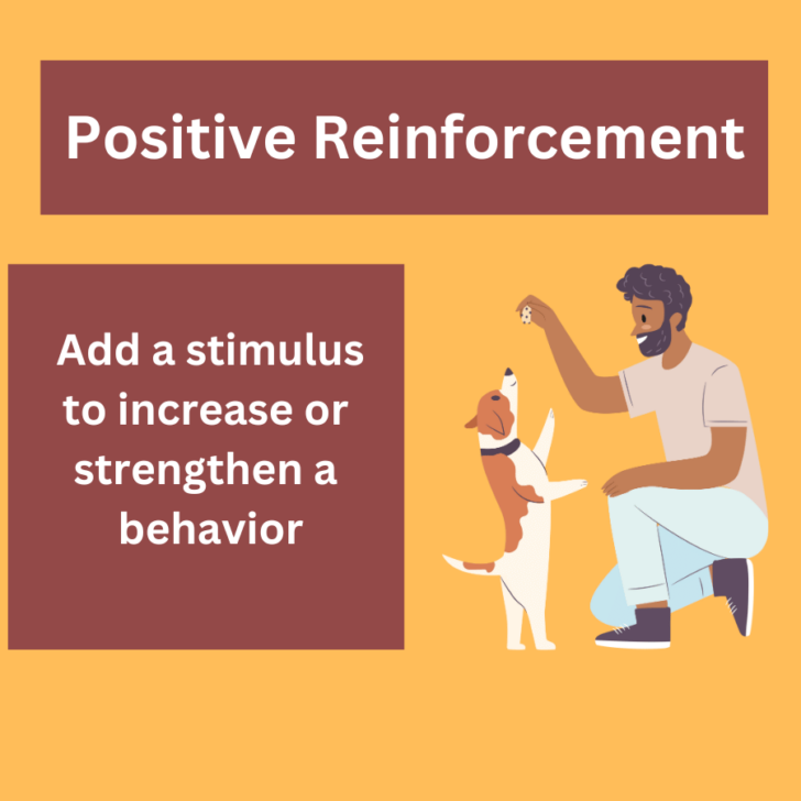 Positive Reinforcement Examples: Definition and Uses