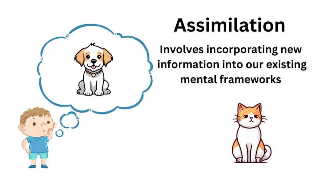 An image explaining assimilation in psychology
