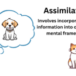 Assimilation in Psychology: Definition and Examples