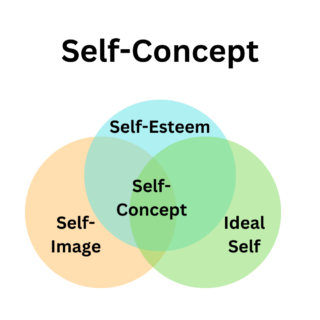 Illustration of the three components of self-concept