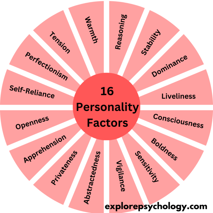 What Are the 16 Personality Factors?