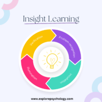 The four stages of insight learning theory