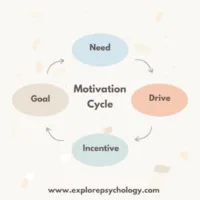 An illustration of the motivation cycle