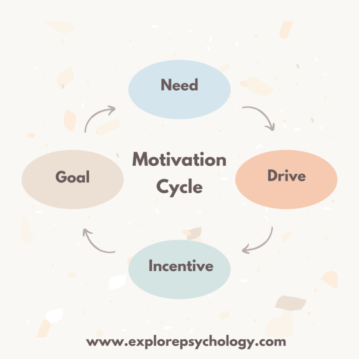 Motivation Cycle: Definition, Stages, and Effects
