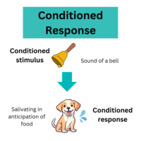 Illustration of how the conditioned response works