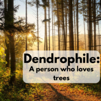 Dendrophile definition